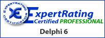 delphi expert